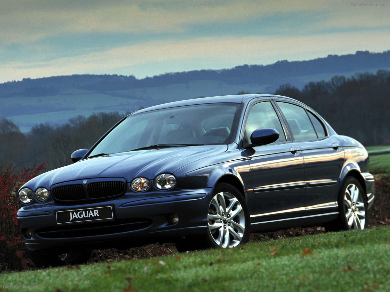 Jaguar X-Type, blue, grass, HD Desktop Wallpaper