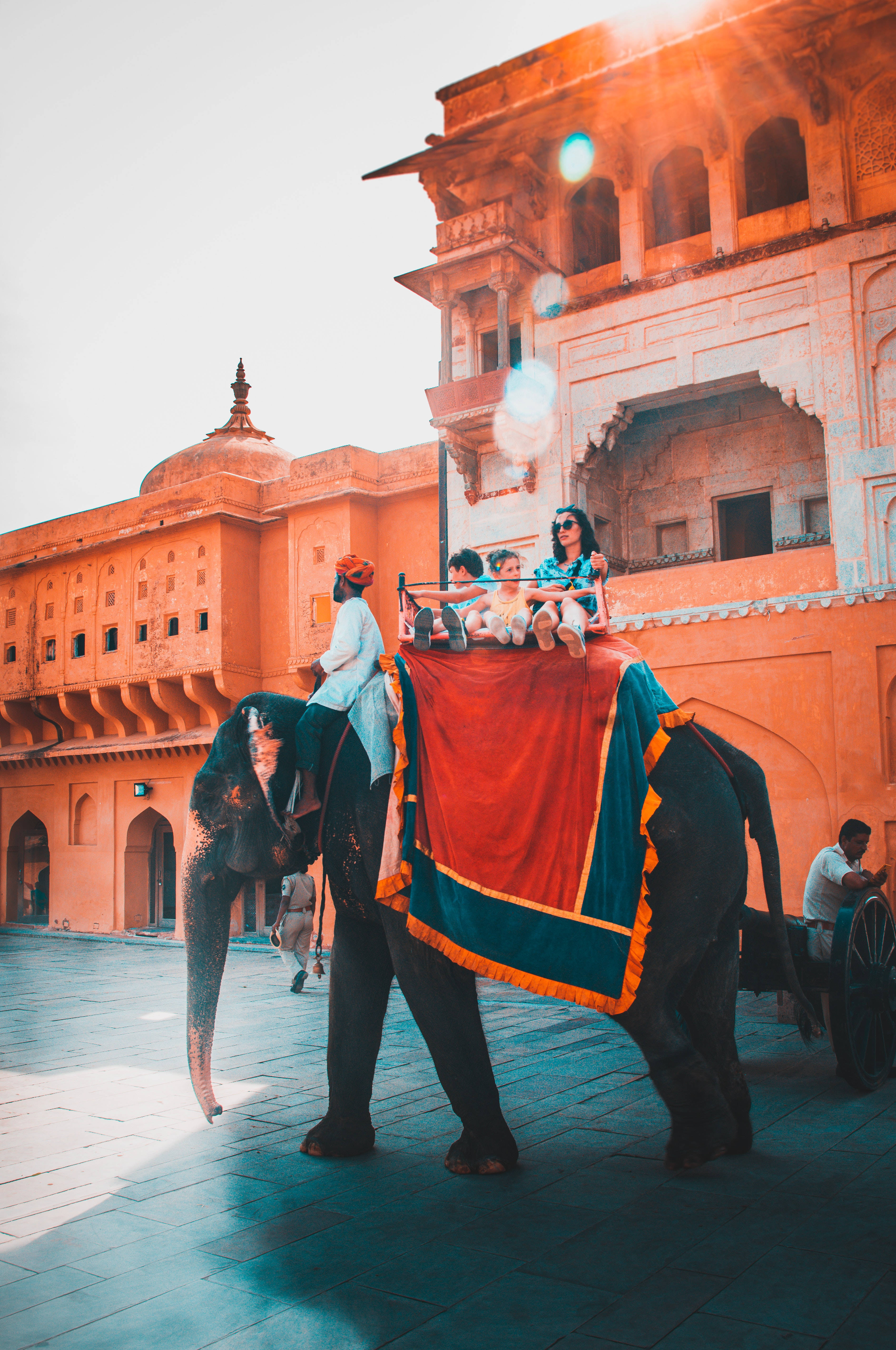 Jaipur, elephant, family, 5K Phone Wallpaper