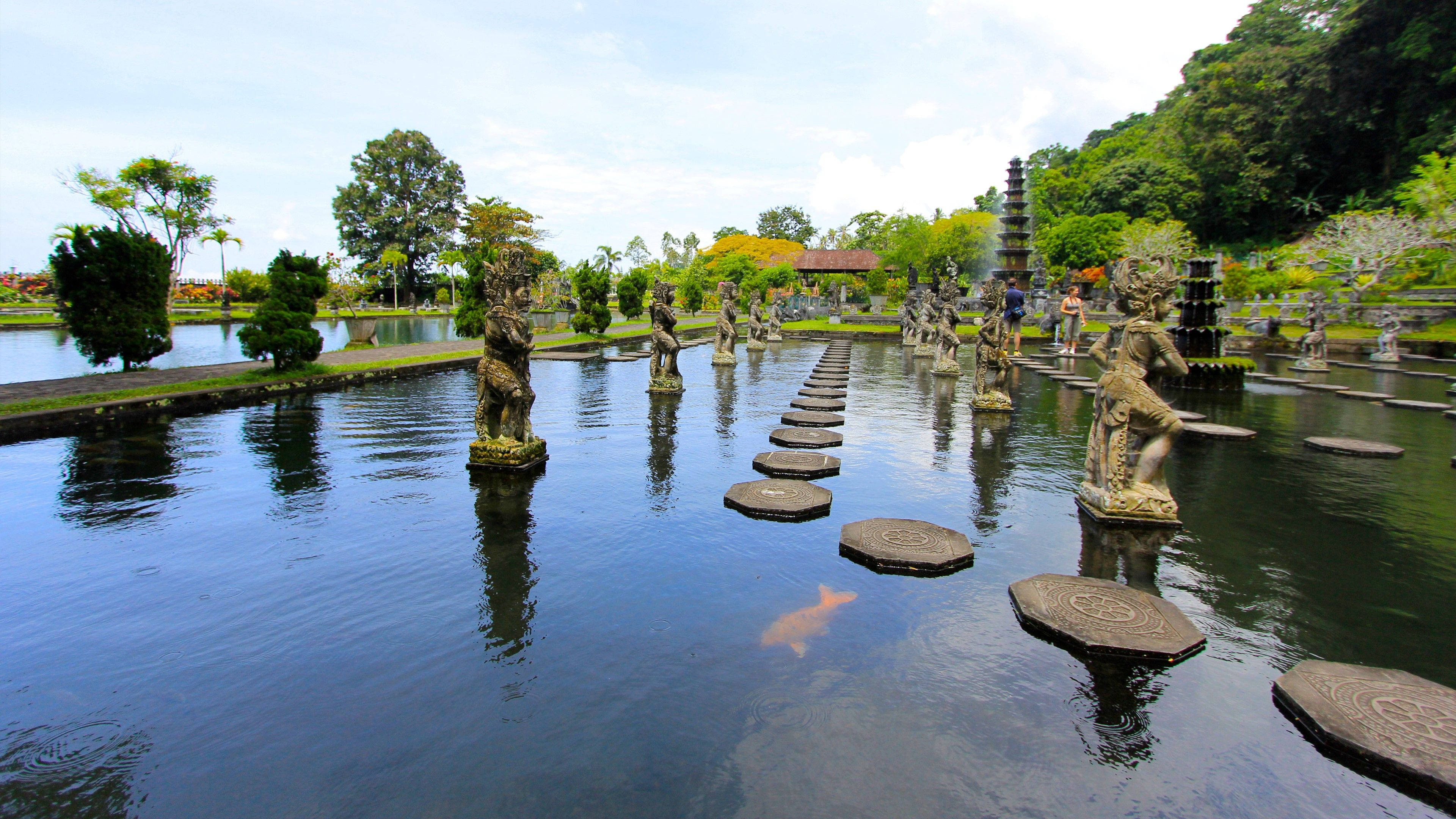 Jakarta, koi pond, stone stepping stones, 4K Desktop Wallpaper