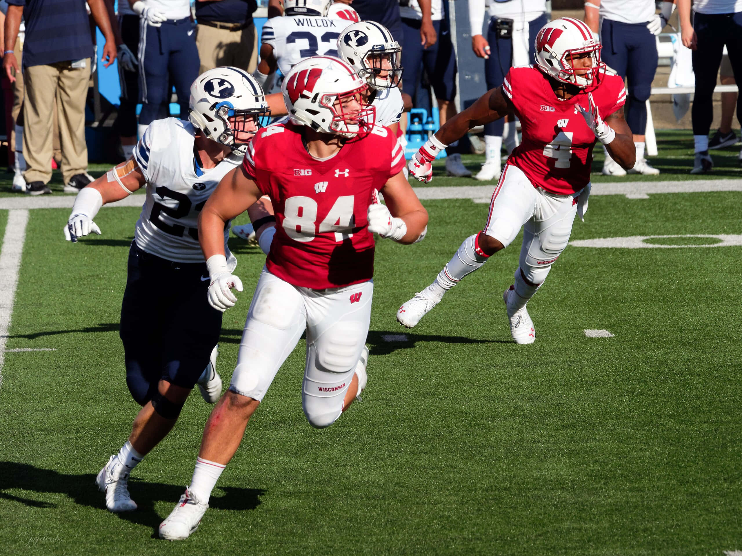 Jake Ferguson, Wisconsin football player, red jersey number 84, 2K Desktop Wallpaper