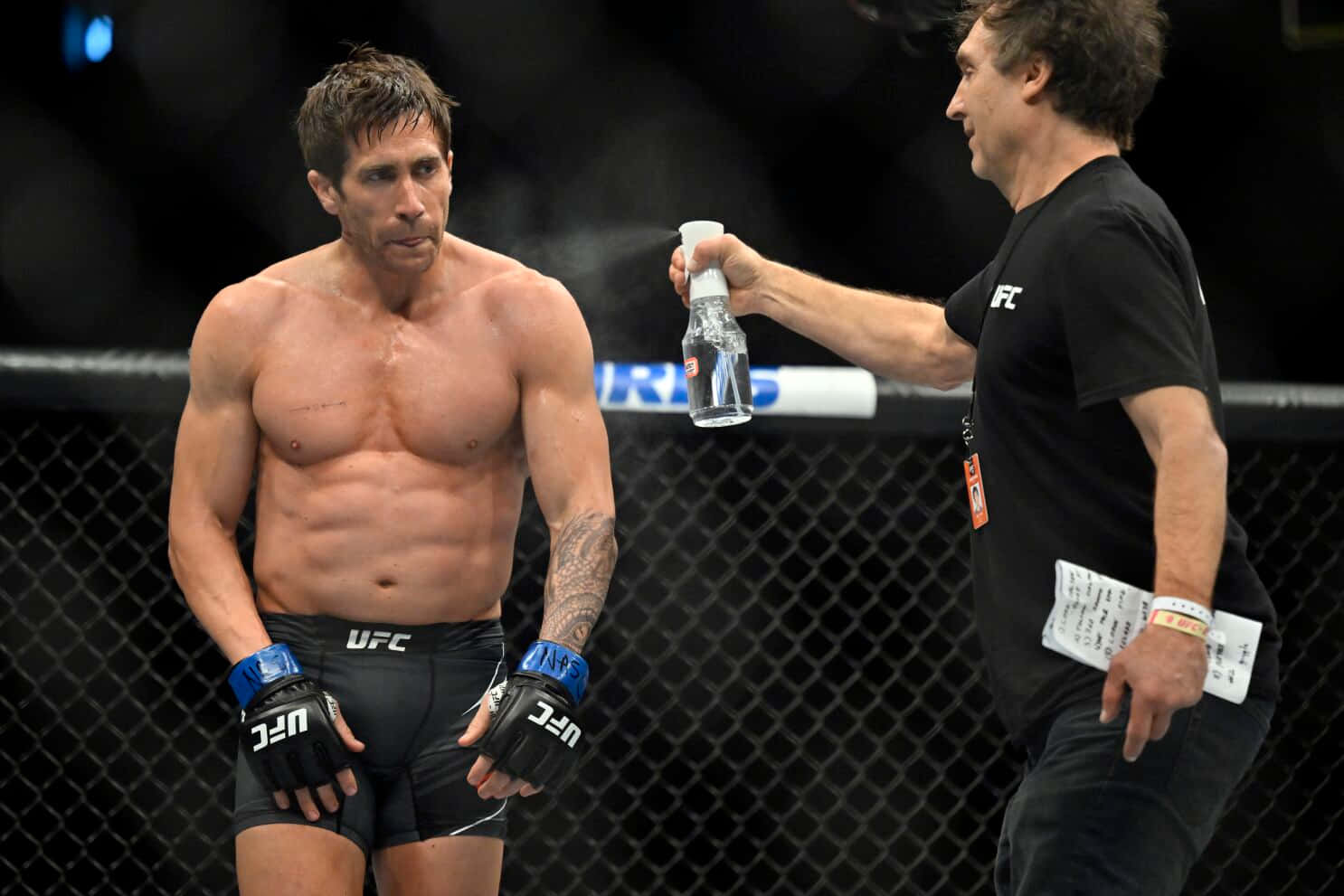 Jake Gyllenhaal, UFC, octagon, HD Desktop Wallpaper