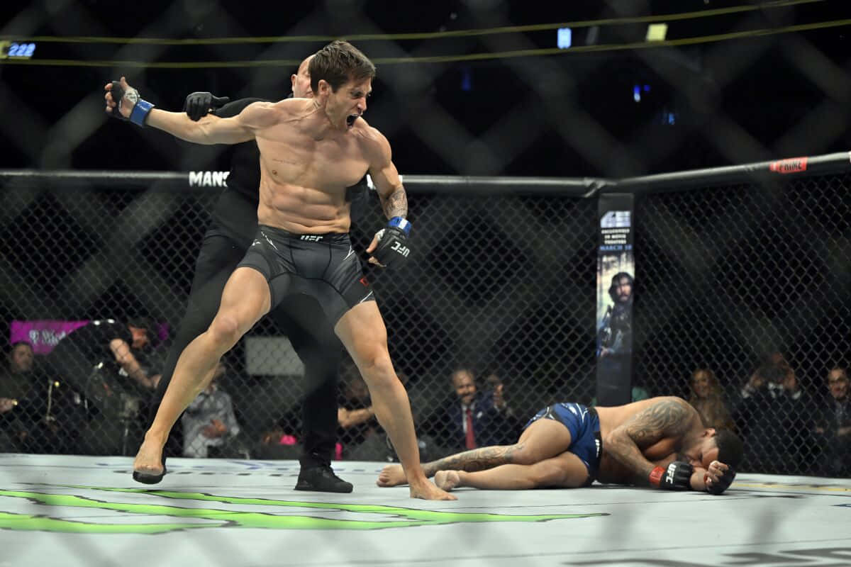 Jake Gyllenhaal, UFC, cage, SD Desktop Wallpaper