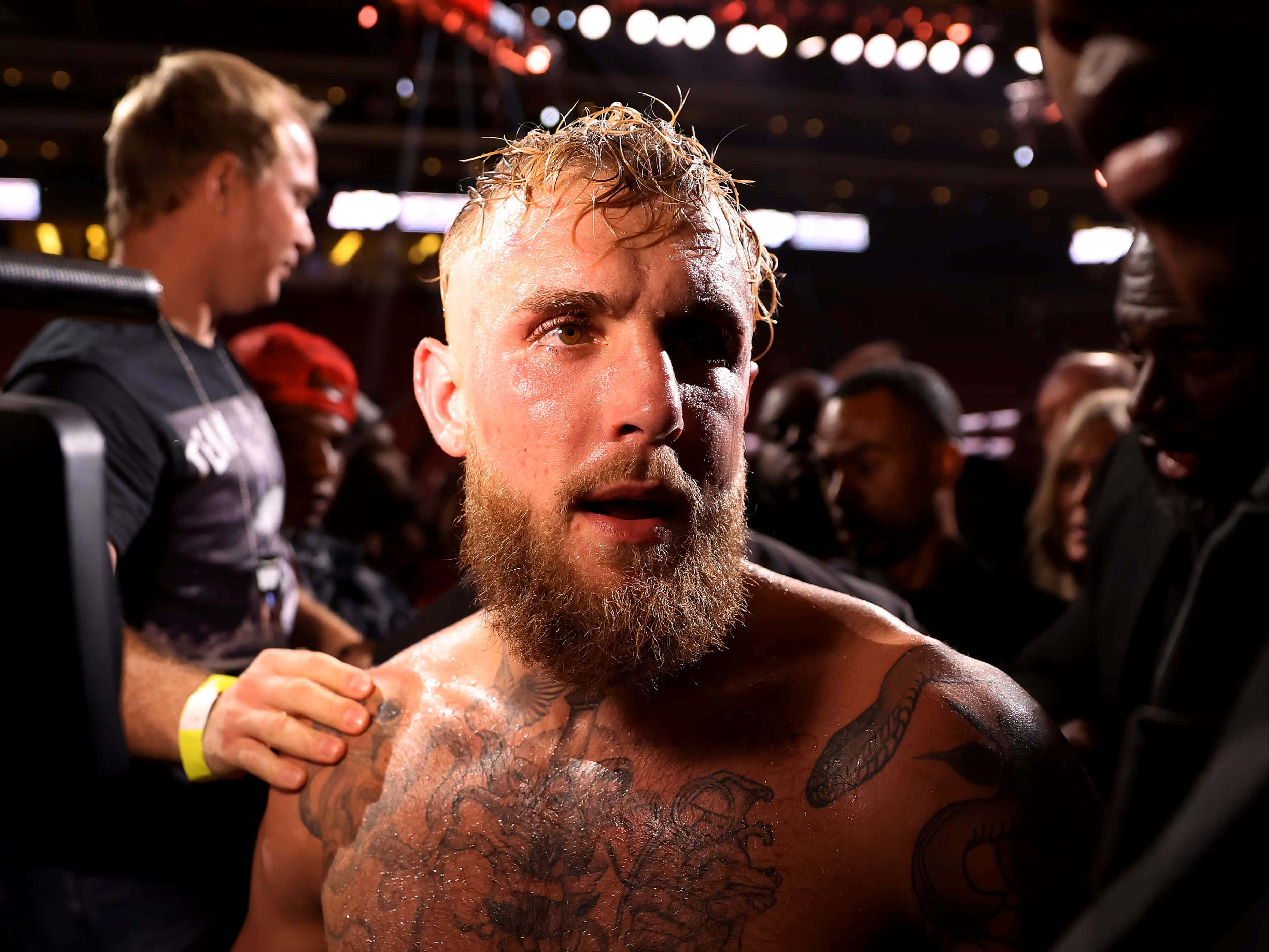 Jake Paul, post fight moment, sweaty, 2K Desktop Wallpaper