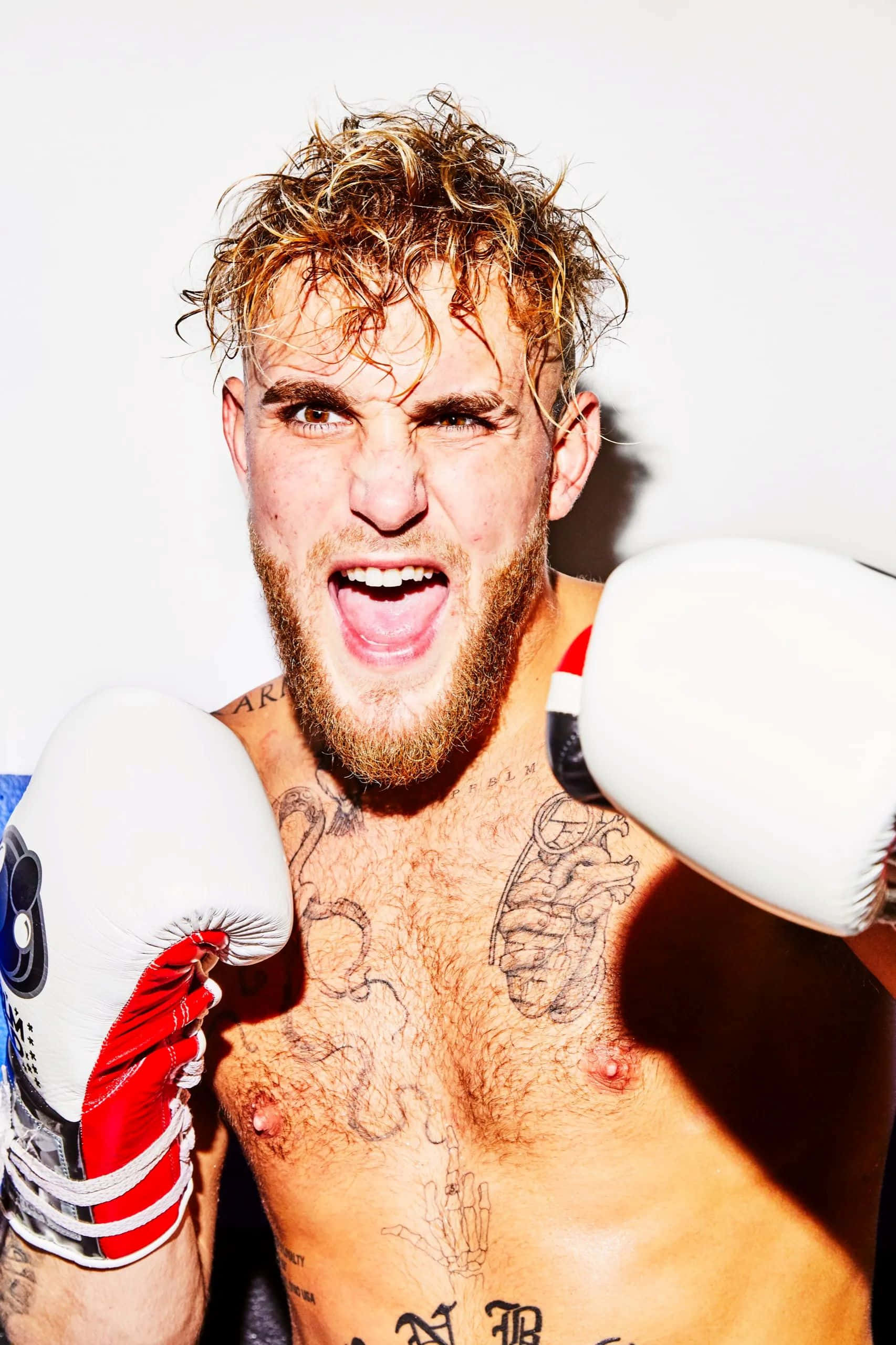 Jake Paul, white and red gloves, shirtless tattooed boxer, 2K Phone Wallpaper