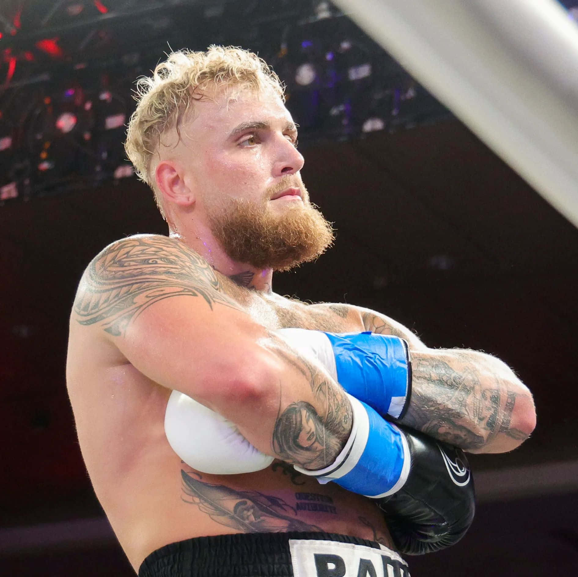 Jake Paul, boxing match, ring, HD Desktop Wallpaper