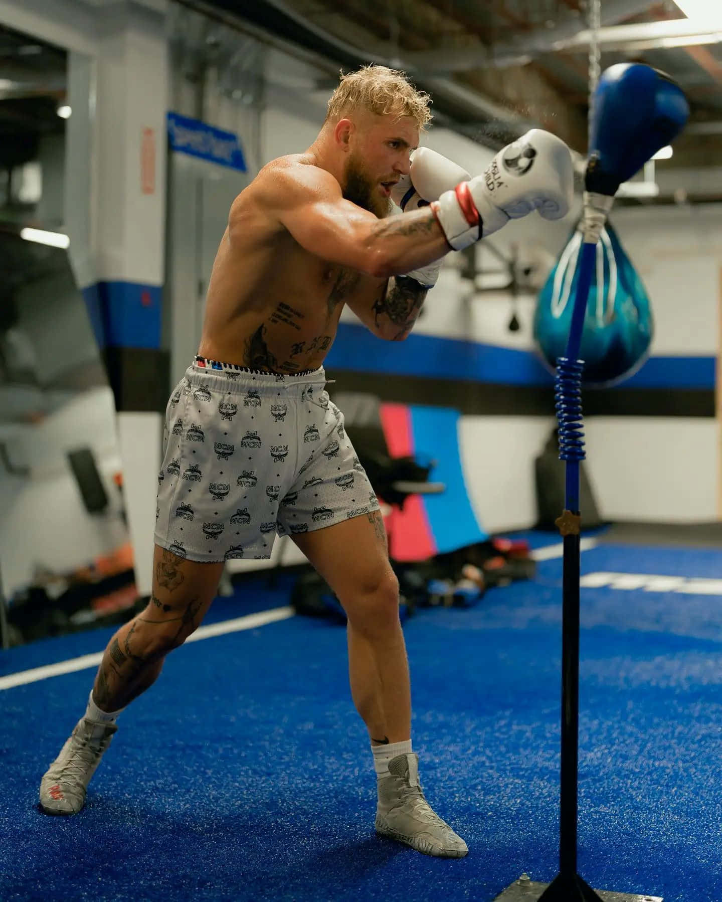 Jake Paul, blue speed bag, blue flooring, HD Phone Wallpaper