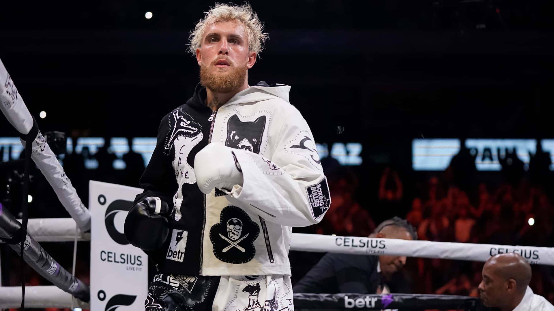 Jake Paul, boxing ring, white and black graphic hoodie, Full HD Desktop Wallpaper