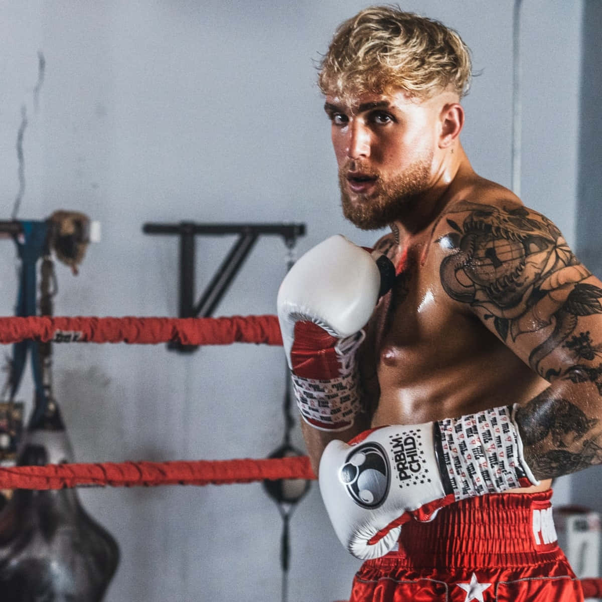 Jake Paul, boxing training, ring, SD Desktop Wallpaper