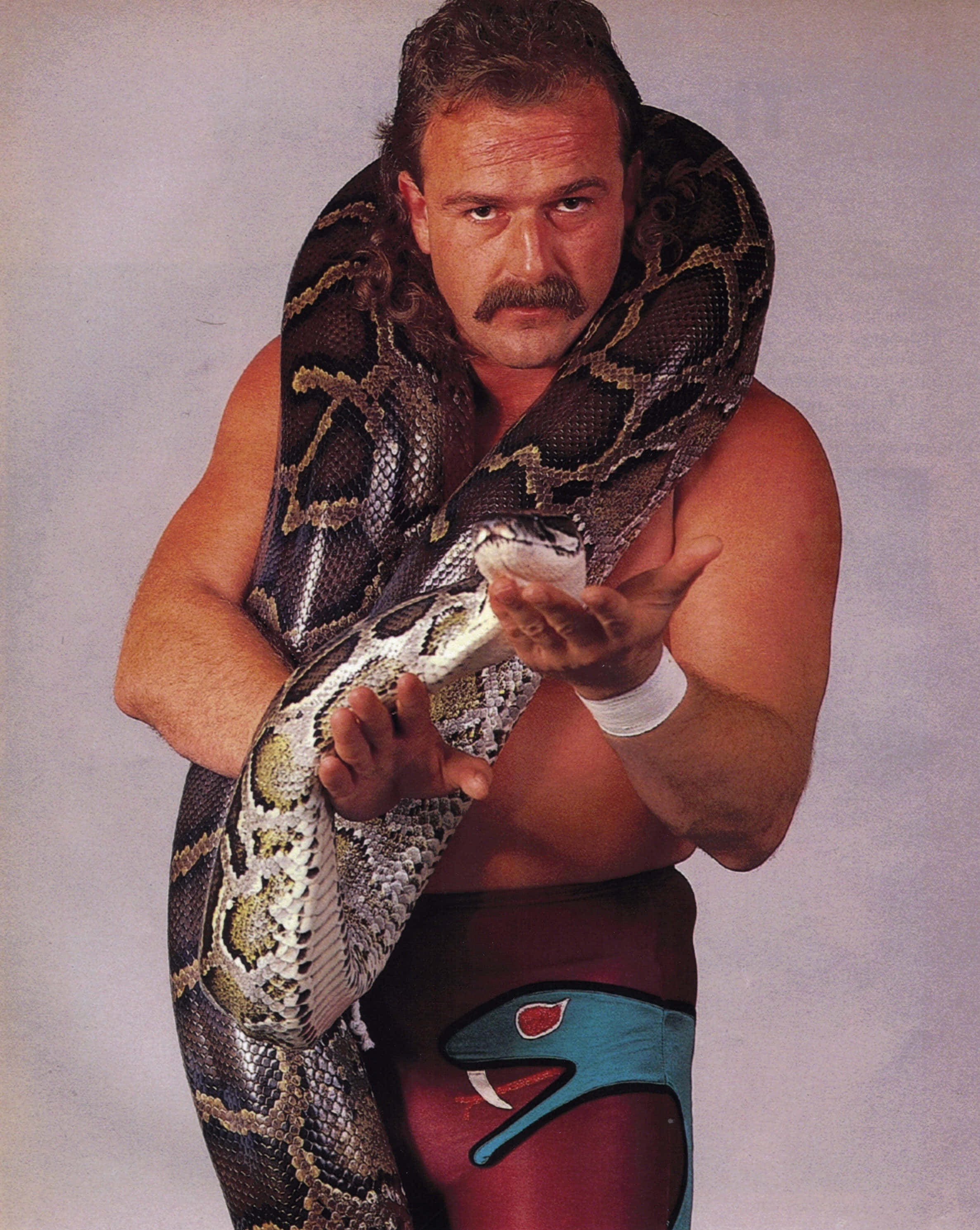 Jake Roberts, python, muscular wrestler, 2K Phone Wallpaper