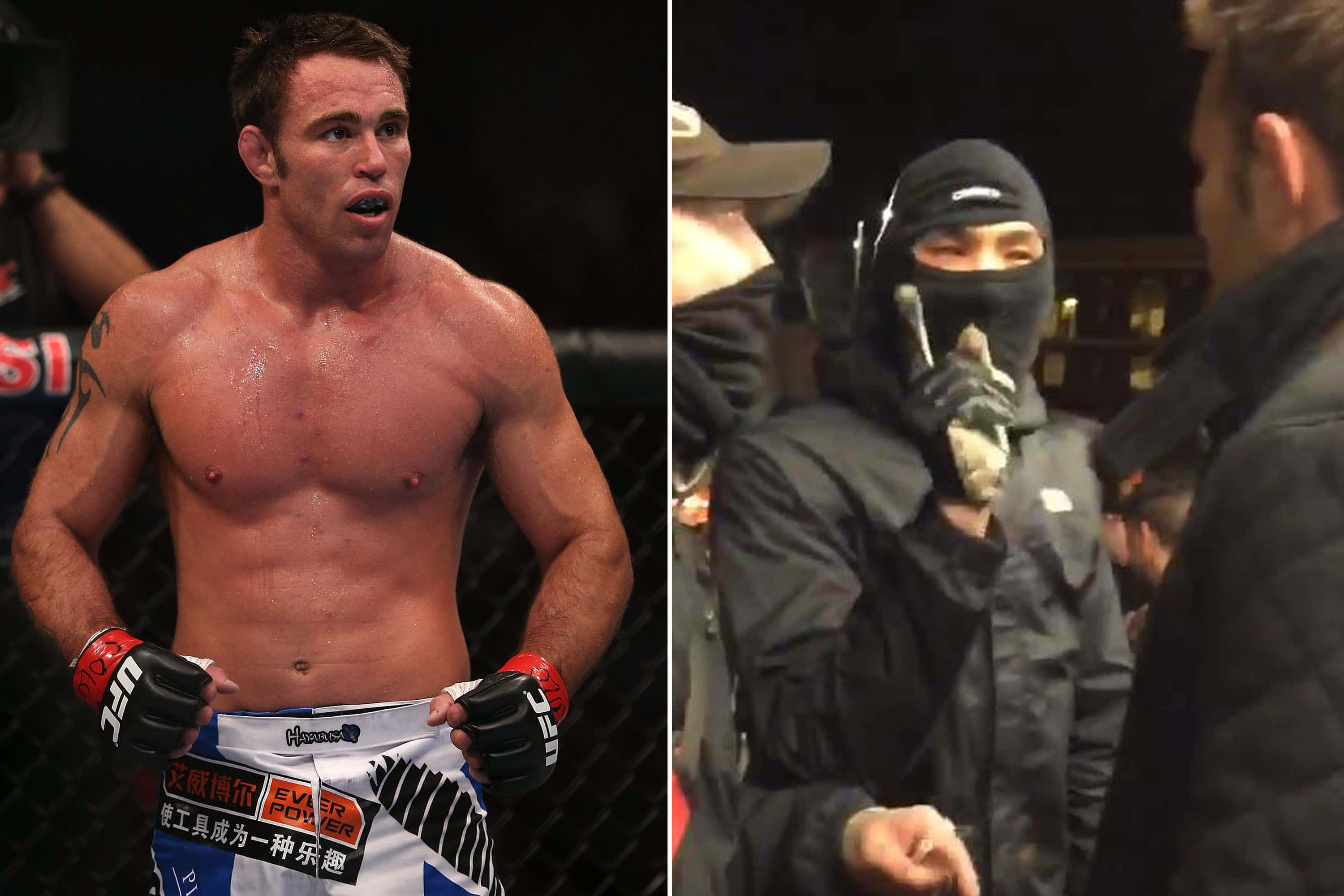 Jake Shields, octagon, gloves, 2K Desktop Wallpaper