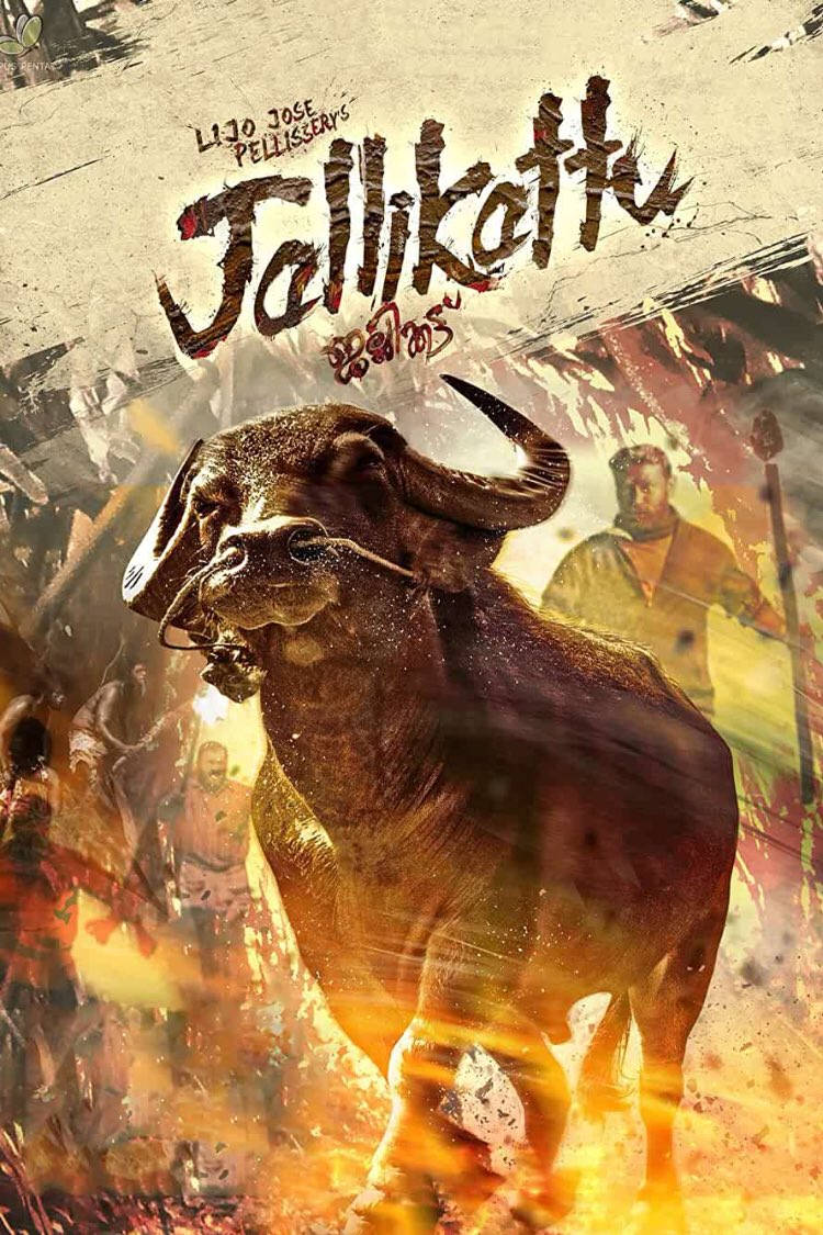 Jallikattu, brown bull, fiery orange and yellow energy bursts, SD Phone Wallpaper