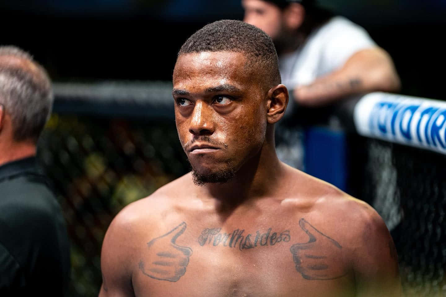 Jamahal Hill, mixed martial artist, cage, HD Desktop Wallpaper