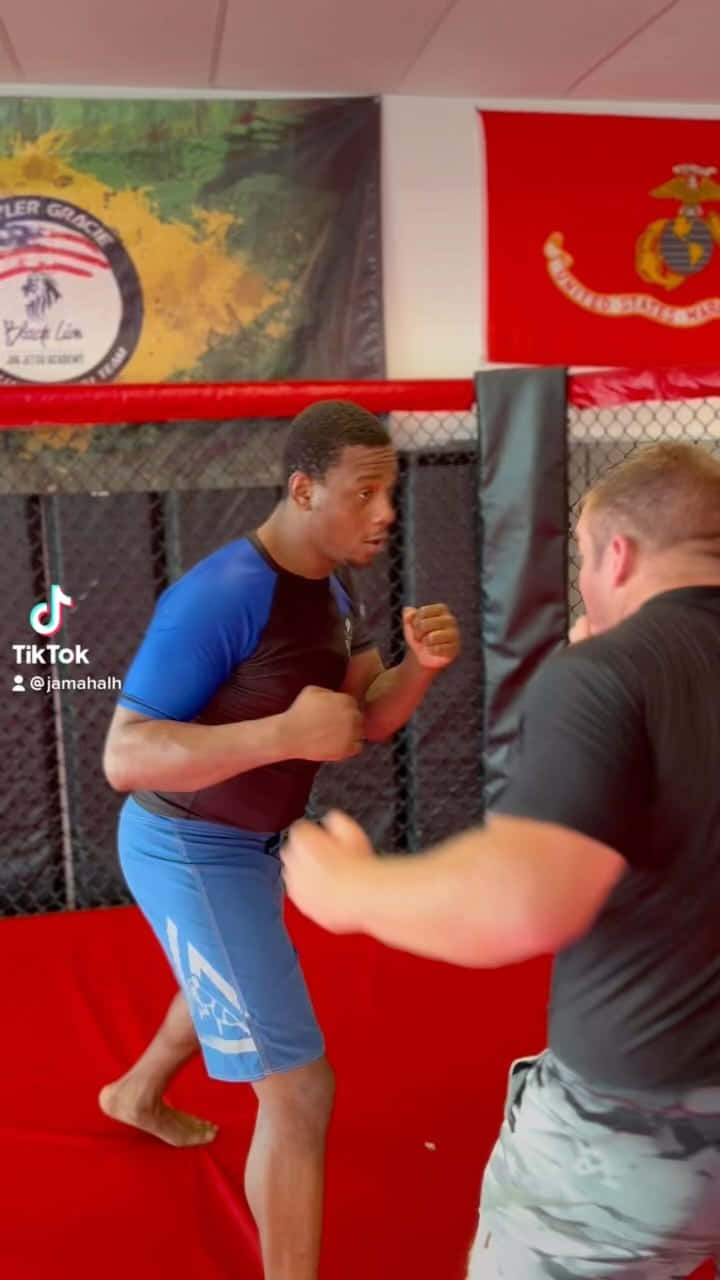 Jamahal Hill, red mat MMA cage, military banners, HD Phone Wallpaper