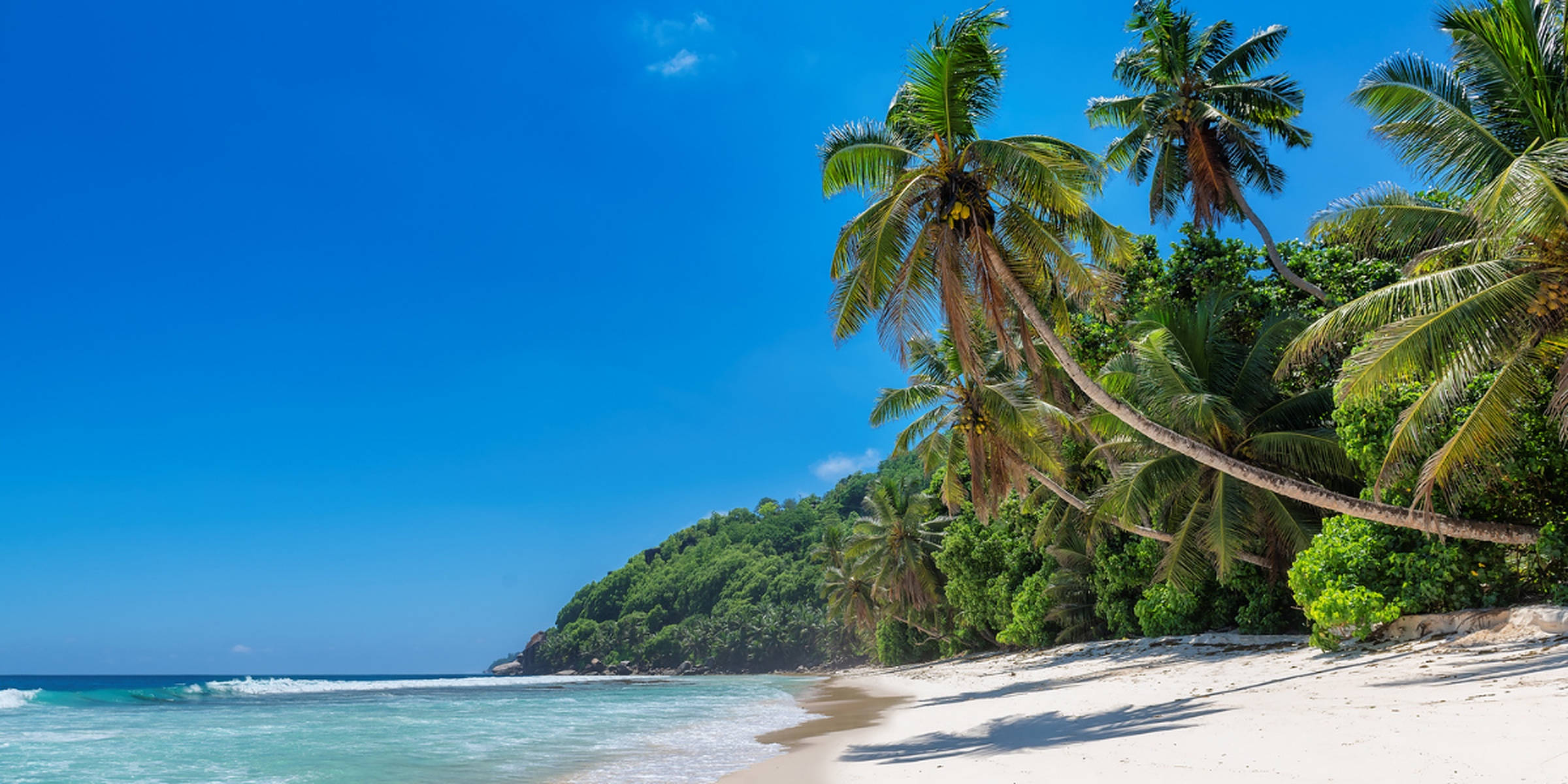 Jamaica Beach, palm trees, white sand, Full HD Desktop Wallpaper