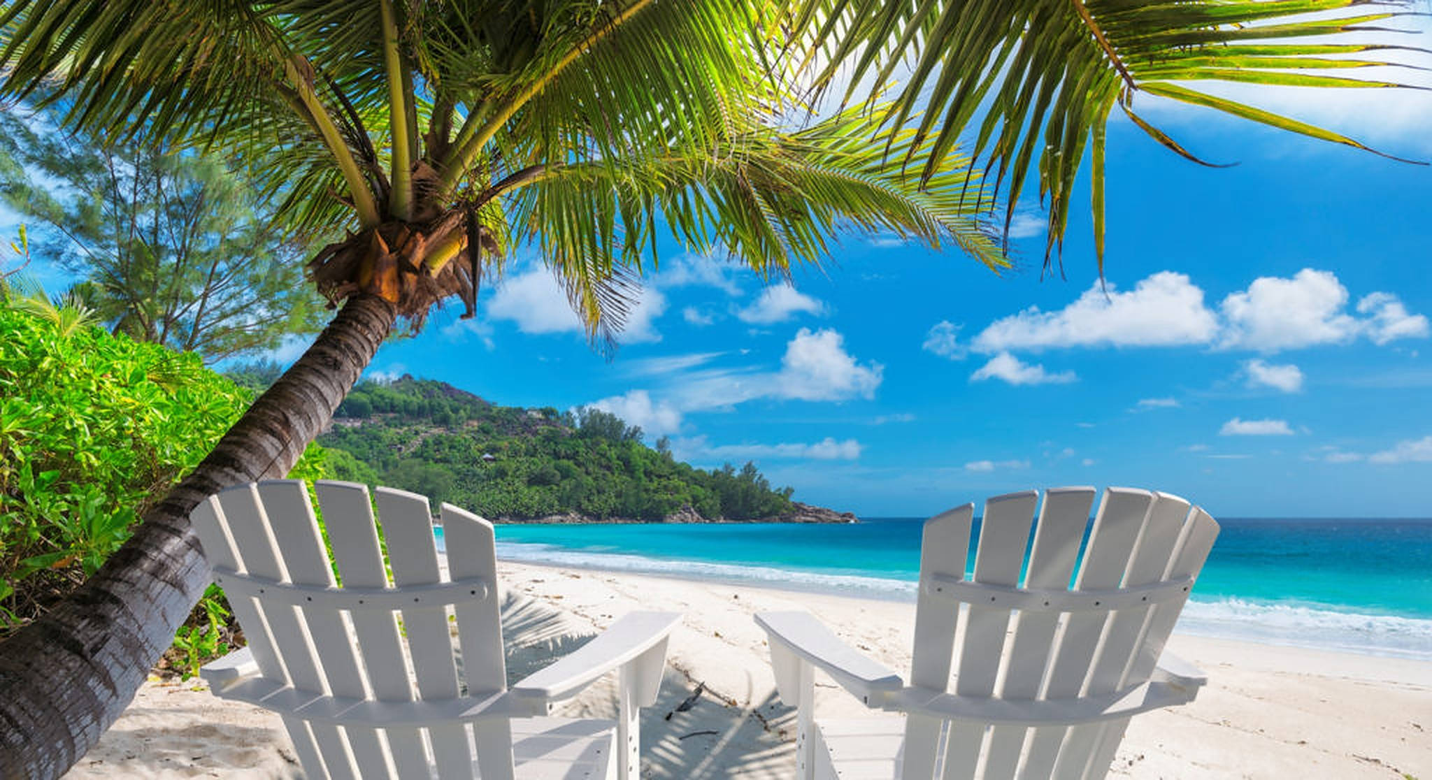 Jamaica Beach, white Adirondack chairs, leaning palm tree, Full HD Desktop Wallpaper