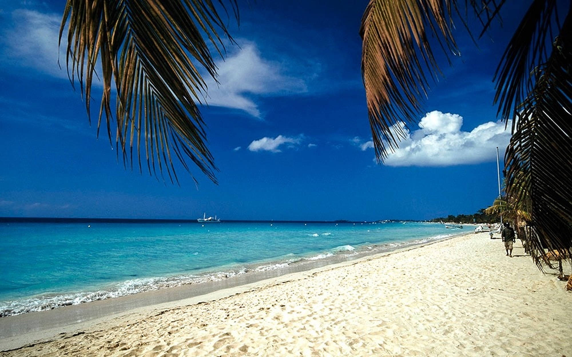 Jamaica Beach, palm trees, white sand beach, Full HD Desktop Wallpaper