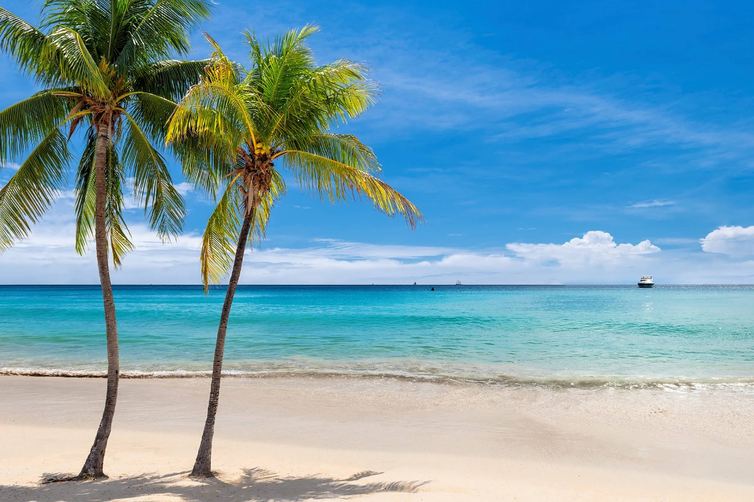Jamaica Beach, two palm trees, pristine white sand beach, Full HD Desktop Wallpaper