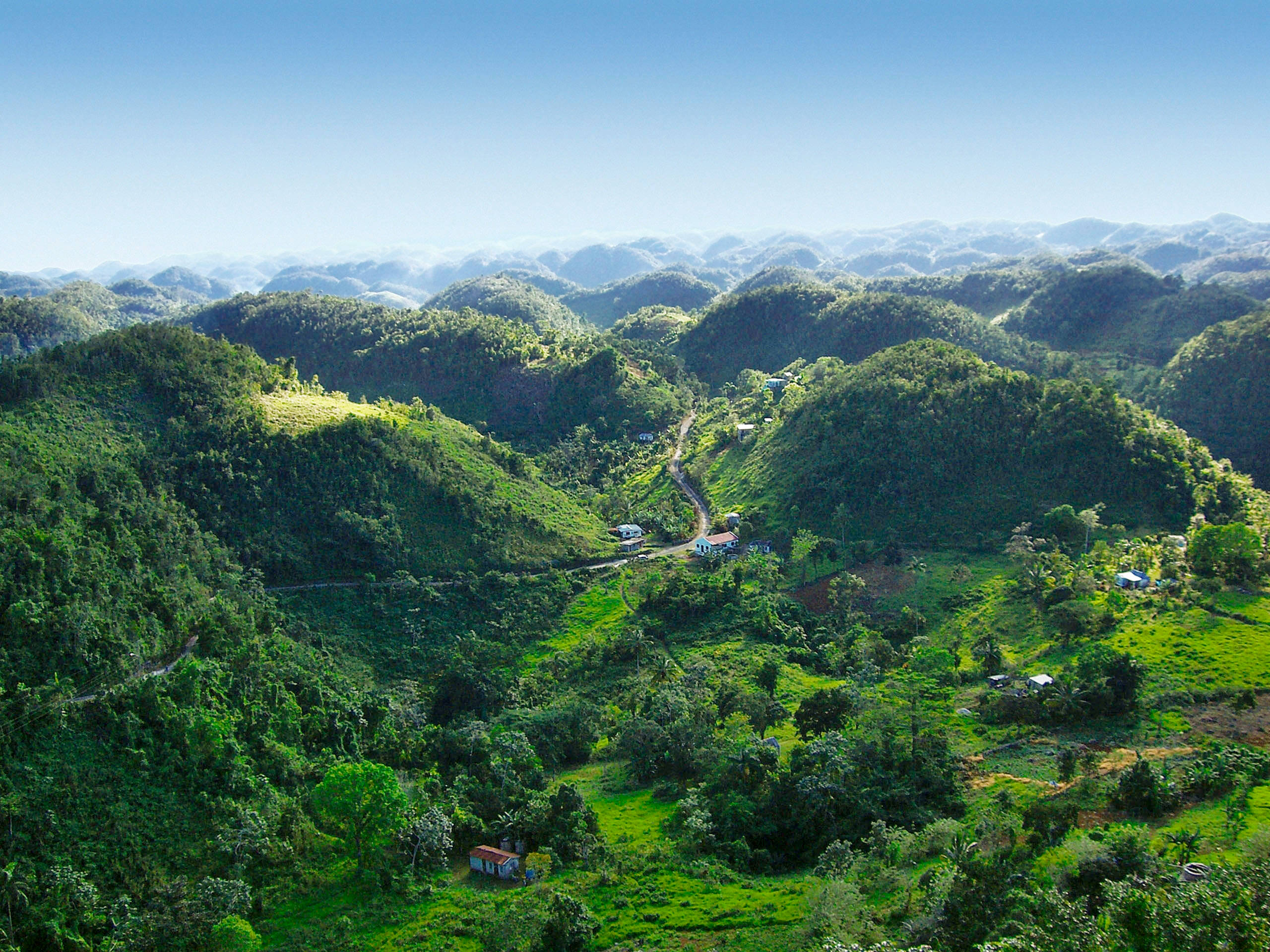 Jamaica Blue Mountains, lush green rolling hills, winding roads, 2K Desktop Wallpaper