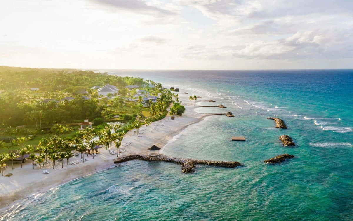 Jamaican beach, turquoise waters, palm trees, SD Desktop Wallpaper