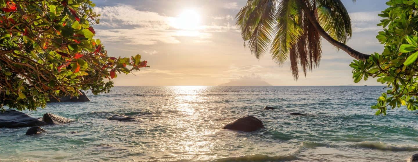 Jamaican Beach, turquoise waters, golden sunset, HD Desktop Wallpaper