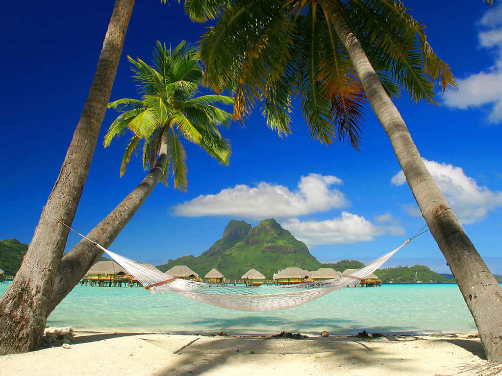 Jamaican Beach, white sand beach, turquoise water, SD Desktop Wallpaper