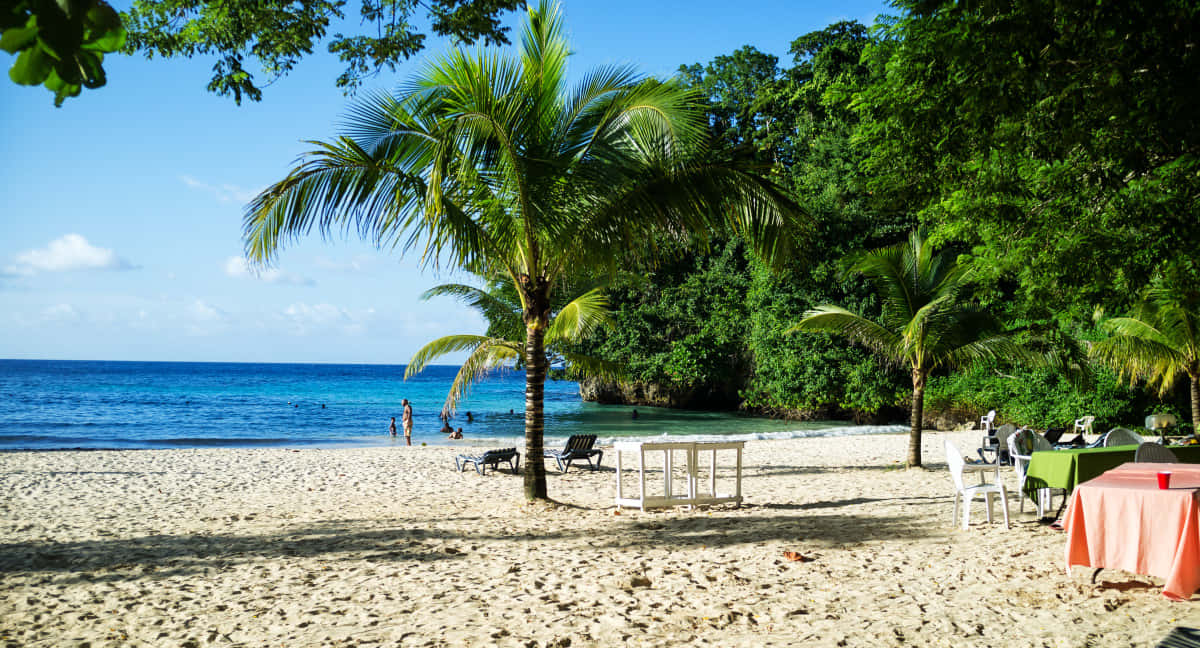 Jamaican Beach, white sand, palm trees, SD Desktop Wallpaper
