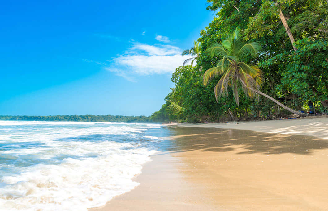 Jamaican Beach, turquoise waters, golden sand, SD Desktop Wallpaper