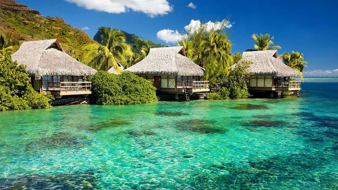 Jamaican Beach, thatched-roof overwater bungalows, crystal-clear turquoise water, SD Desktop Wallpaper