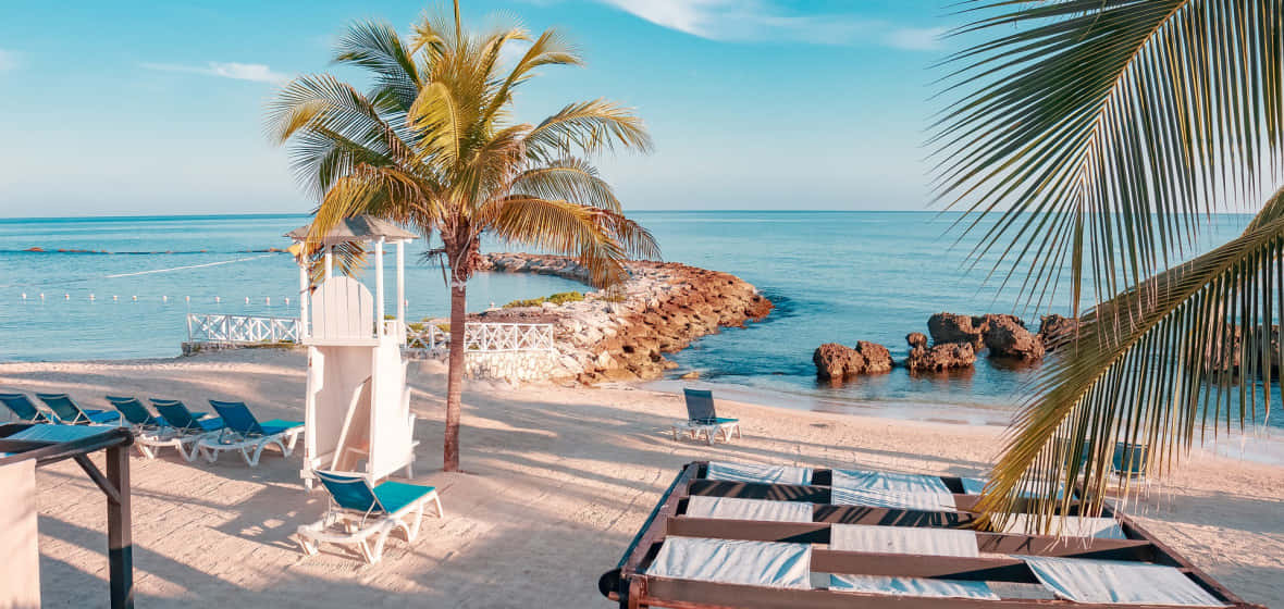 Jamaican Beach, palm trees, blue lounge chairs, SD Desktop Wallpaper
