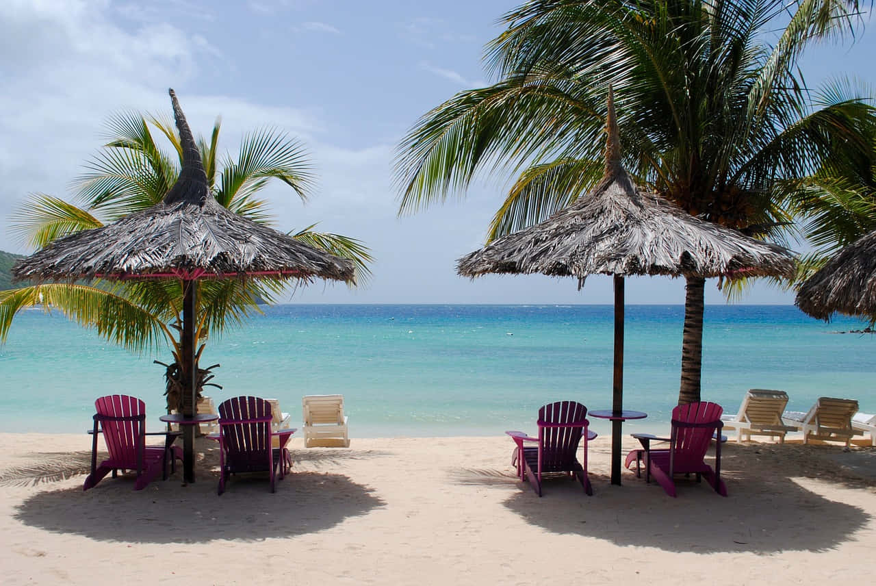 Jamaican Island, vibrant purple chairs, thatched umbrellas, HD Desktop Wallpaper