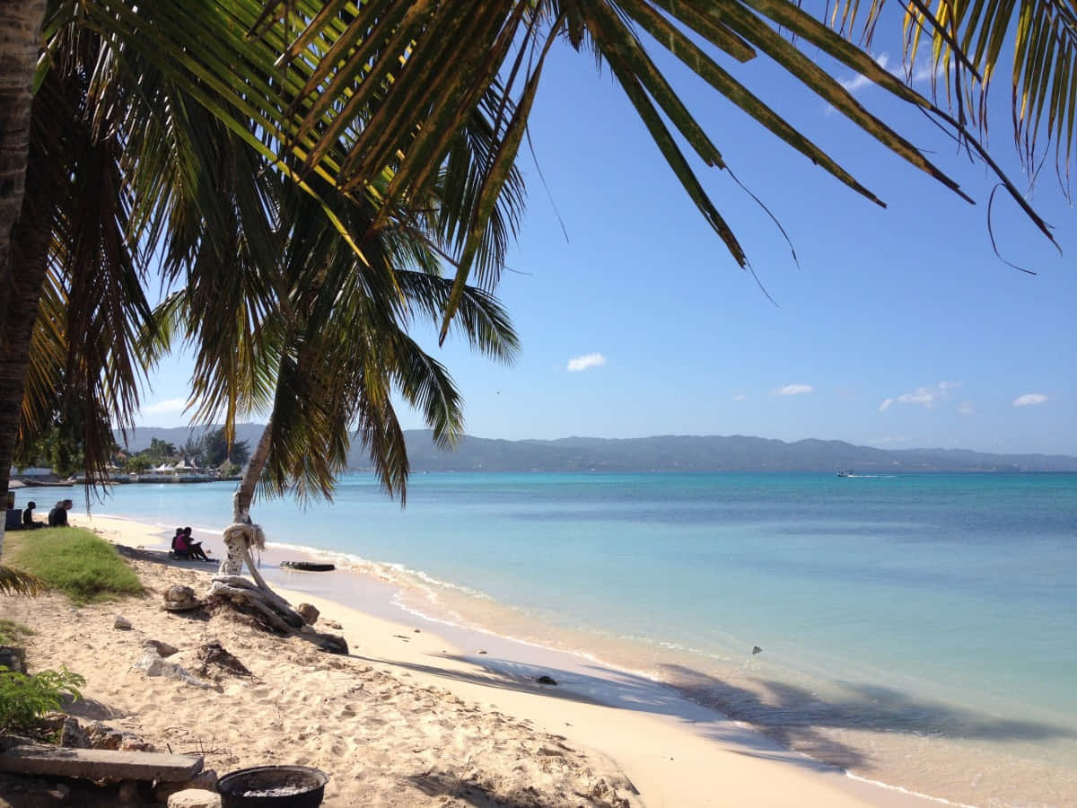 Jamaican Island, tropical beach, turquoise waters, SD Desktop Wallpaper