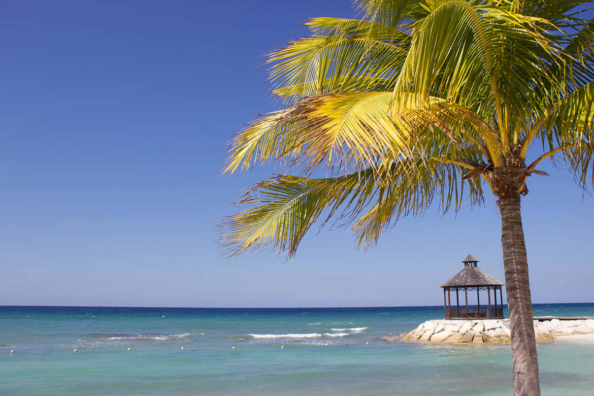 Jamaican Island, turquoise waters, stone pier, SD Desktop Wallpaper