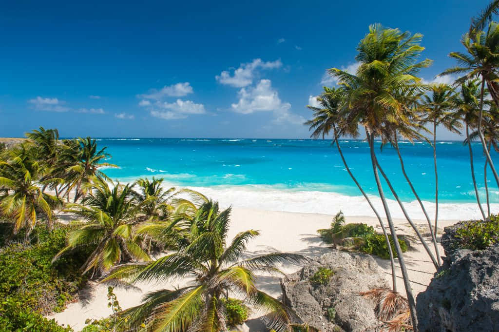 Jamaican Island, turquoise waters, white sand, SD Desktop Wallpaper