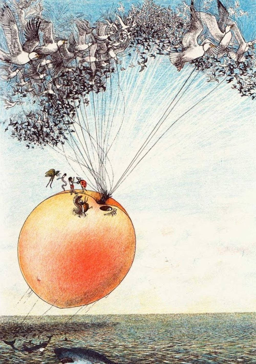 James And The Giant Peach, seagulls, giant peach, HD Phone Wallpaper