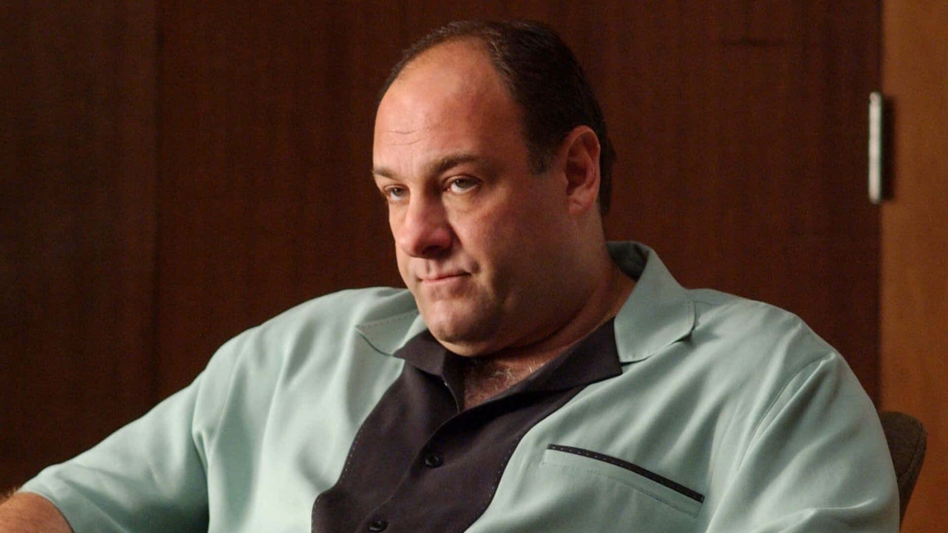 James Gandolfini, light green shirt, dark shirt, Full HD Desktop Wallpaper