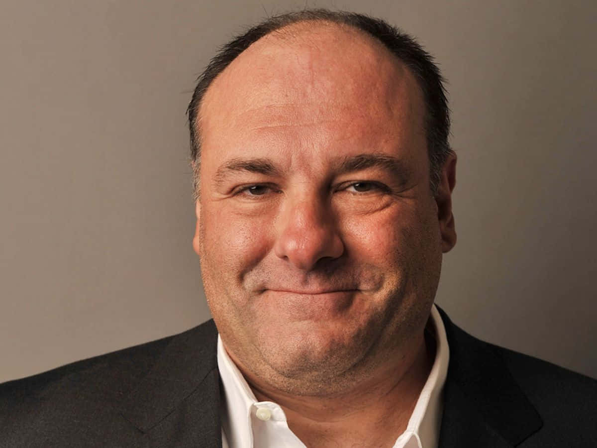 James Gandolfini, dark suit, white shirt, SD Desktop Wallpaper