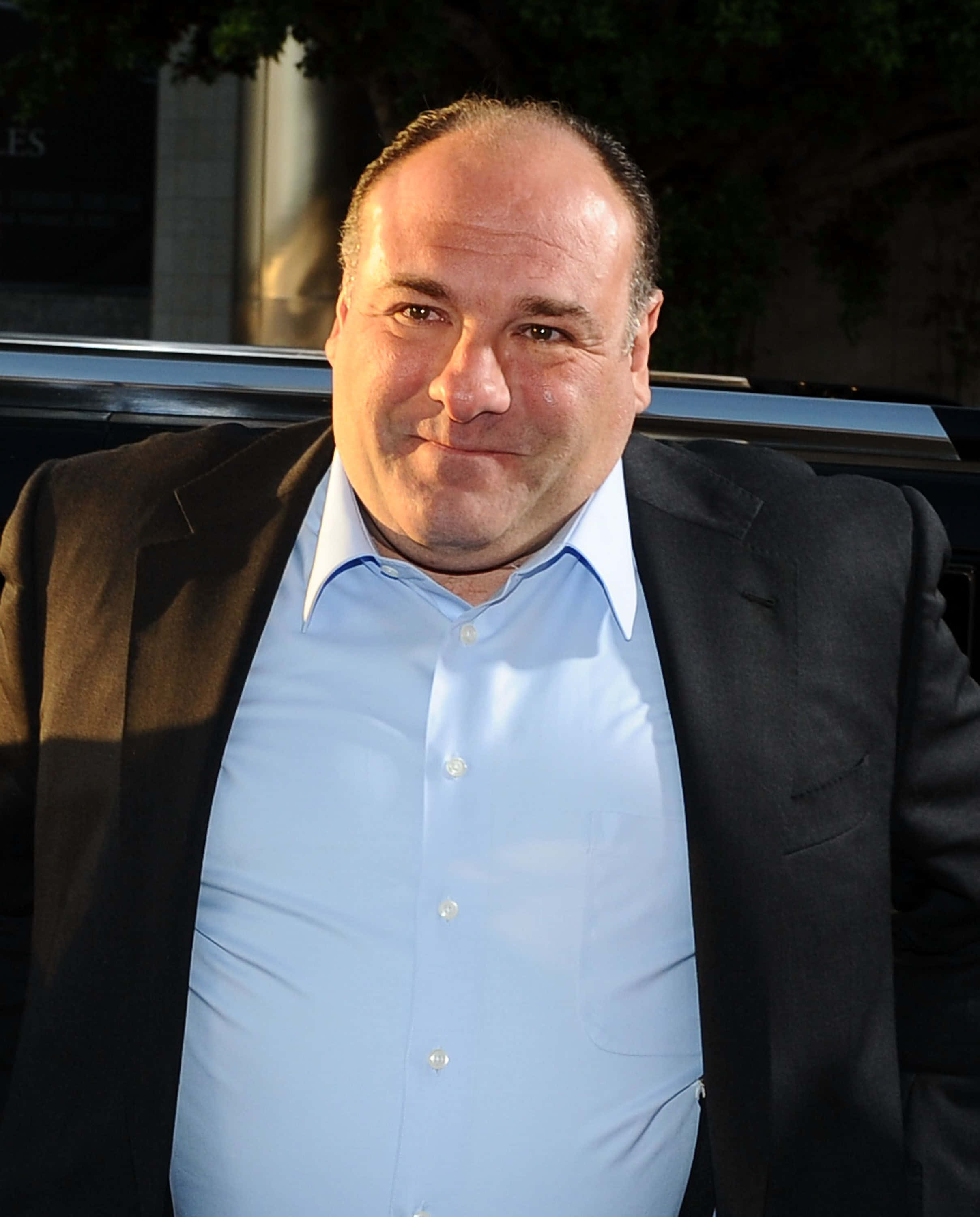 James Gandolfini, dark suit, light blue shirt, 2K Phone Wallpaper
