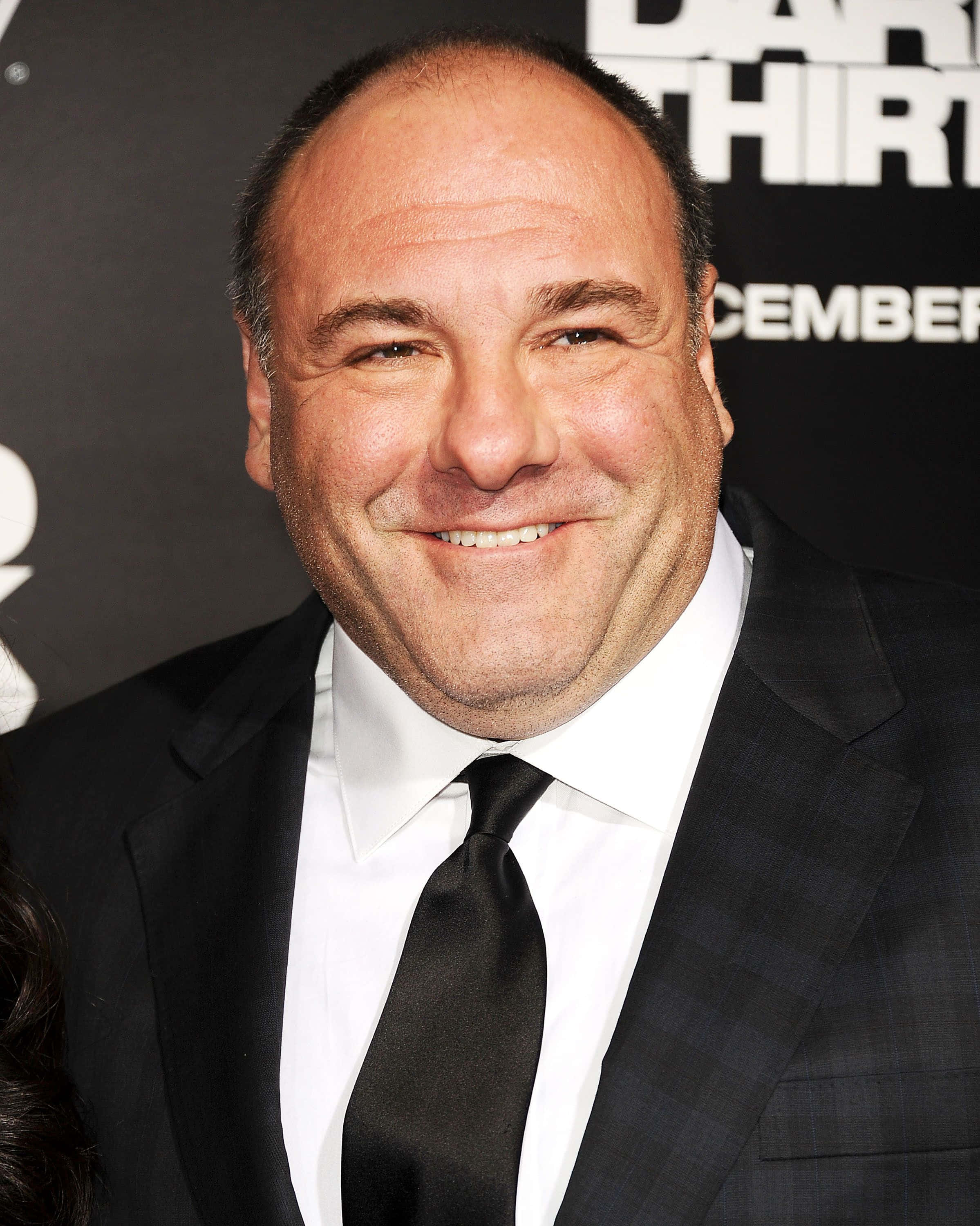 James Gandolfini, dark suit, tie, 2K Phone Wallpaper