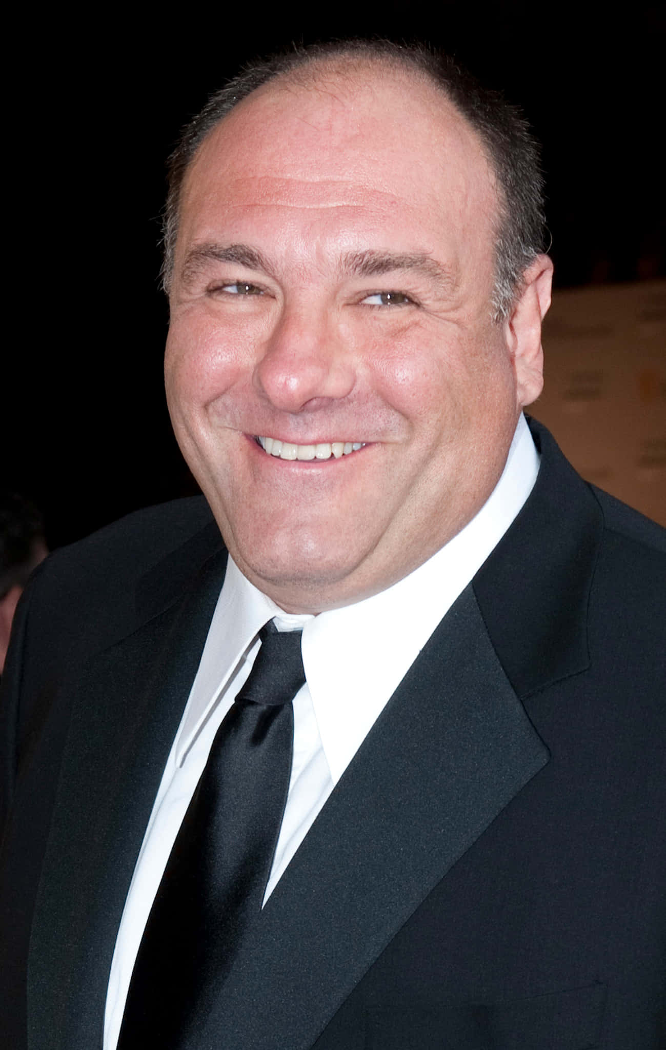 James Gandolfini, black suit, tie, Full HD Phone Wallpaper