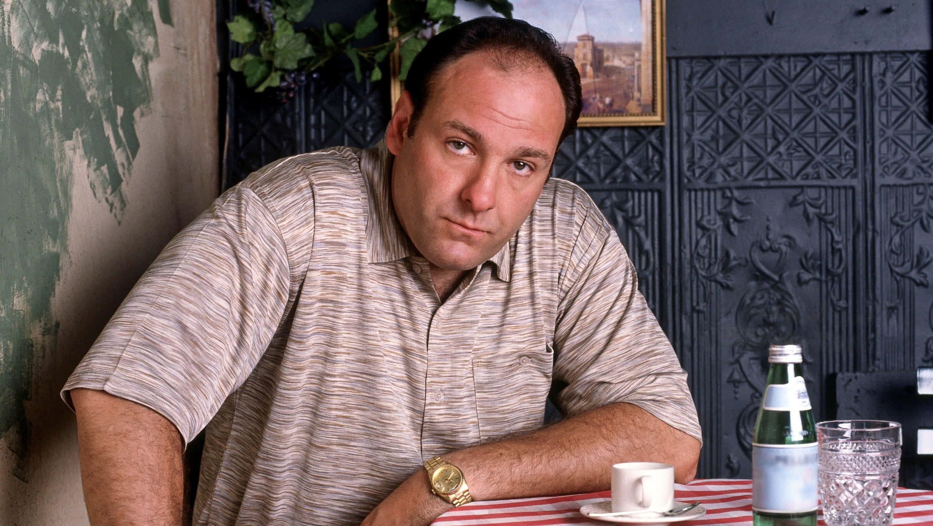 James Gandolfini, striped shirt, red white table, 2K Desktop Wallpaper