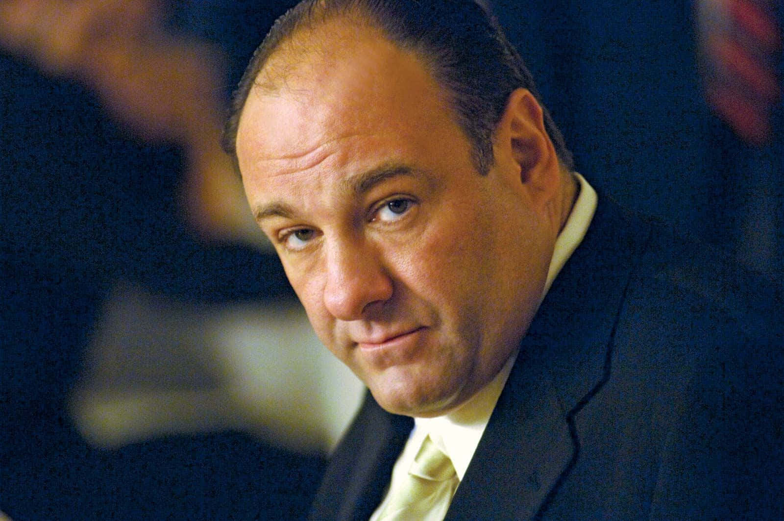 James Gandolfini, dark suit, pale yellow tie, HD Desktop Wallpaper