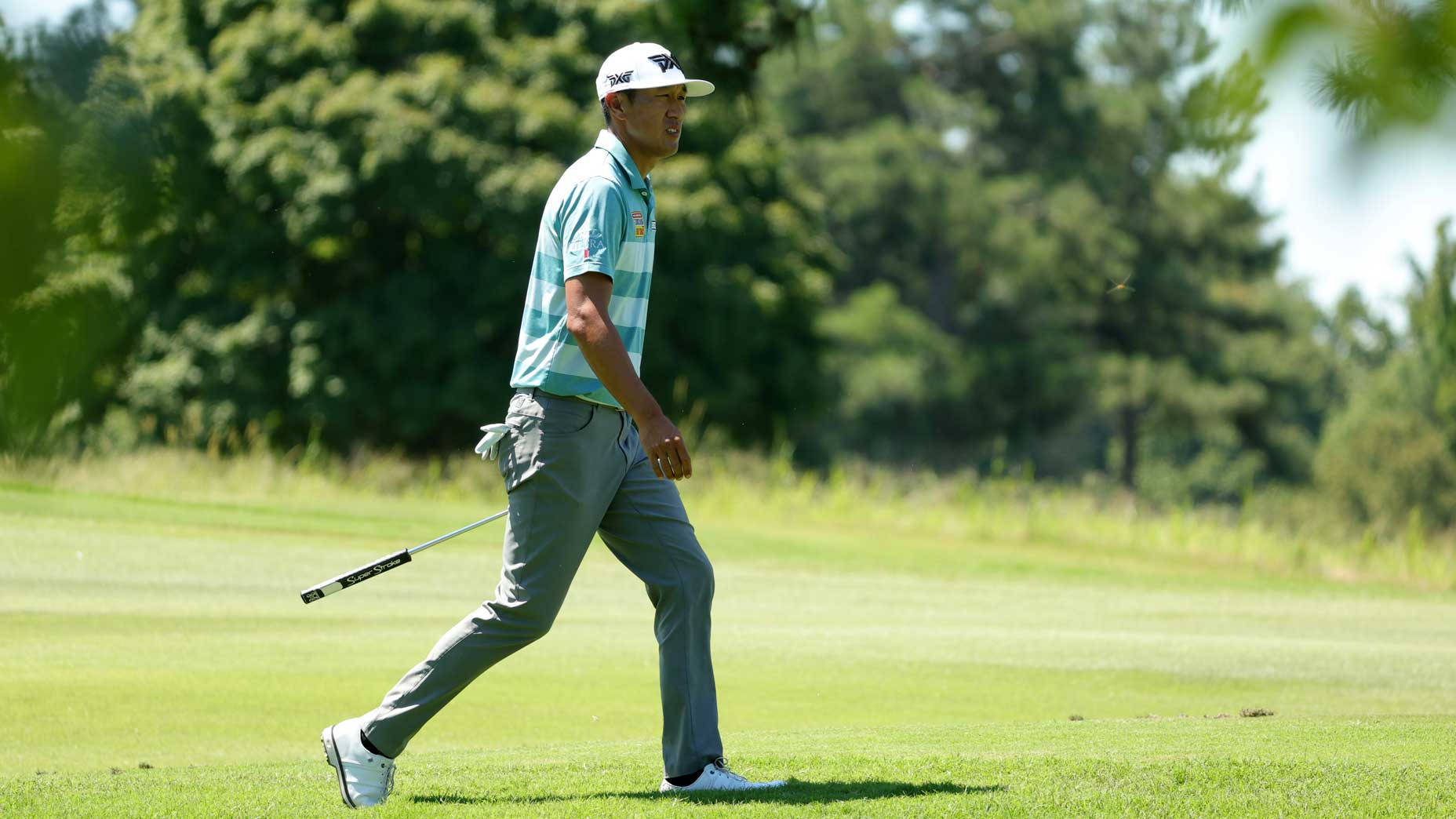 James Hahn, teal striped shirt, sunlit fairway, HD Desktop Wallpaper