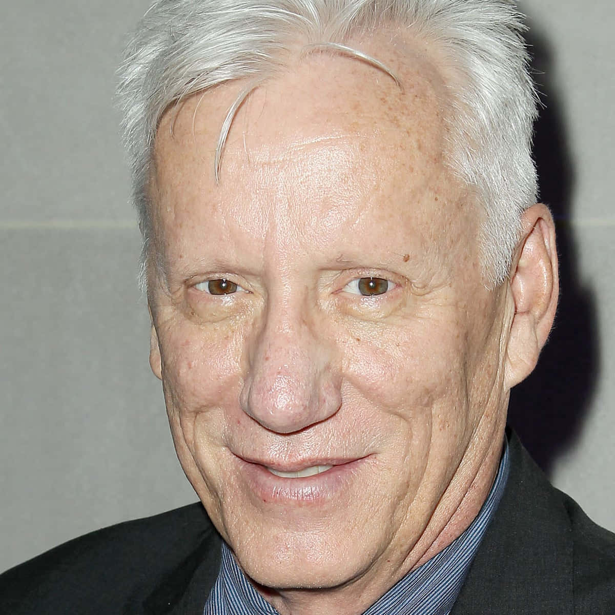 James Woods, white hair, brown eyes, SD Desktop Wallpaper