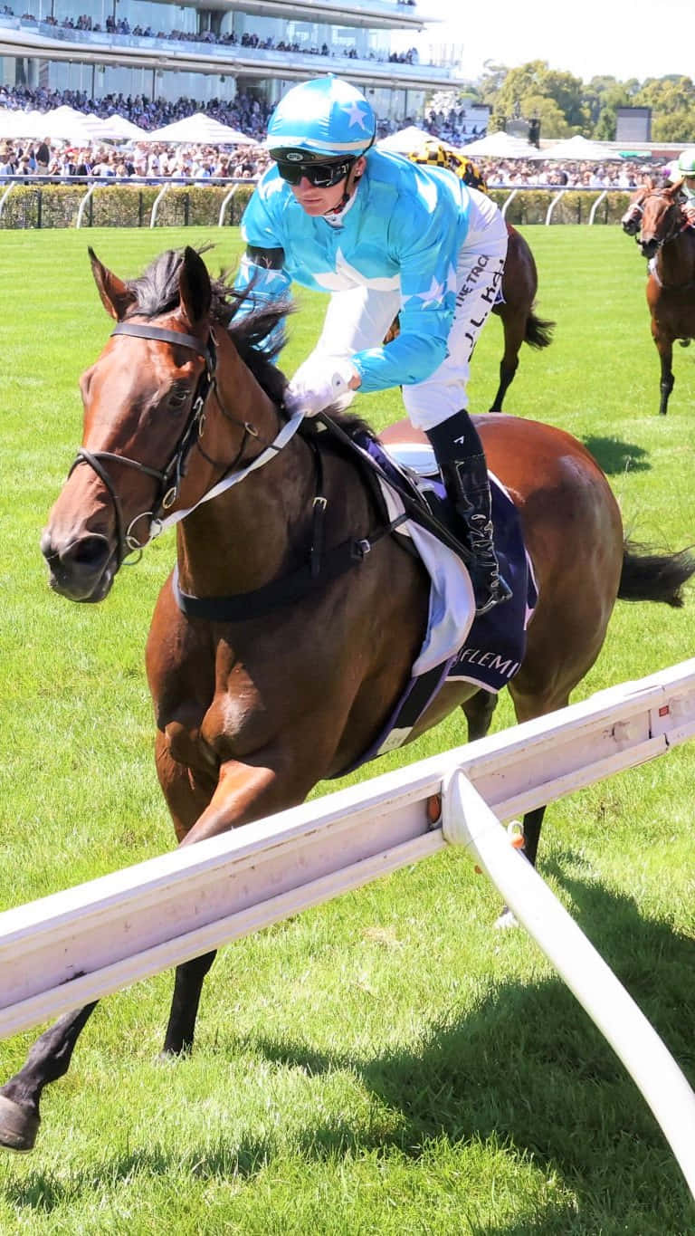 Jamie Kah, brown racehorse, bright blue silks, HD Phone Wallpaper