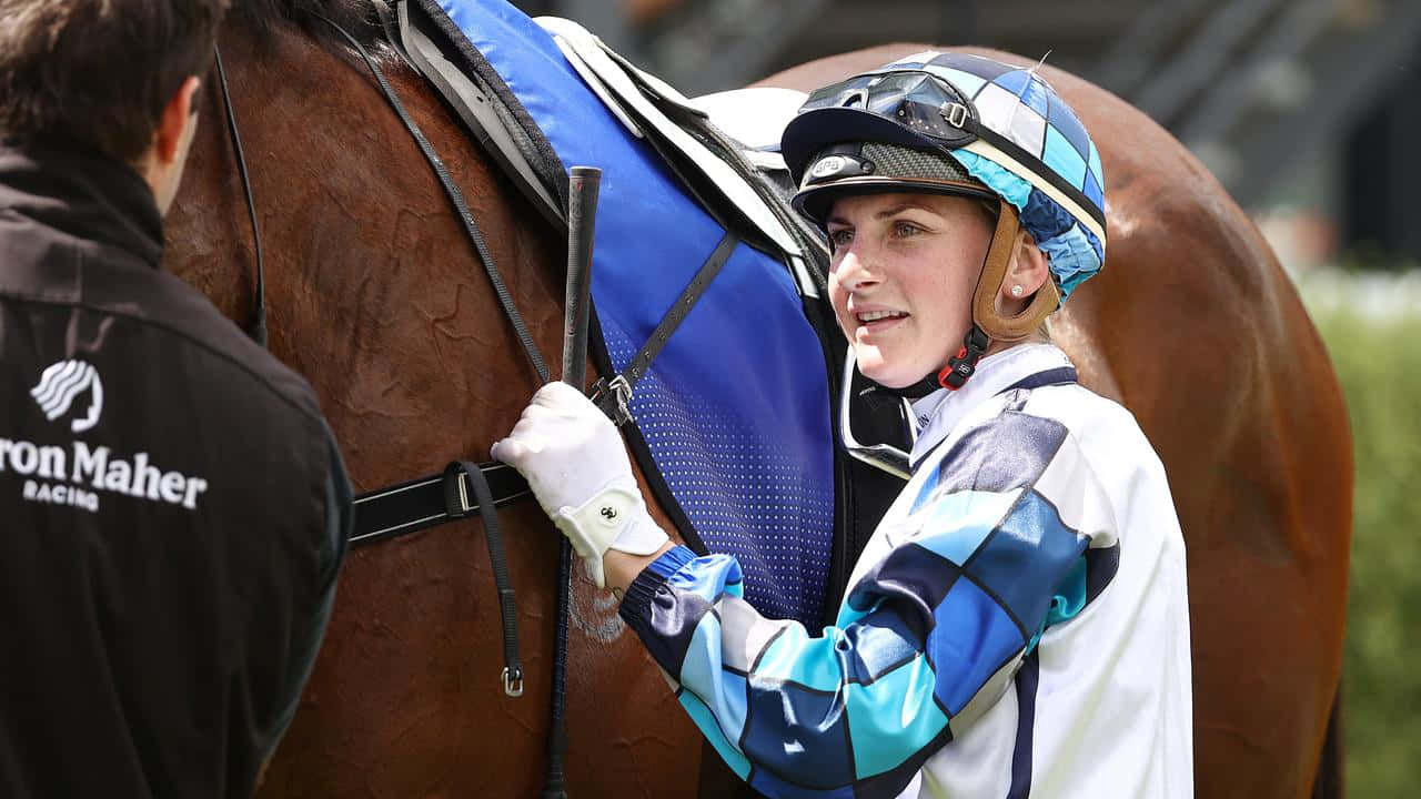 Jamie Kah, blue and white racing silks, brown racehorse, HD Desktop Wallpaper