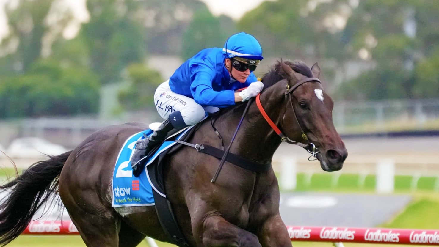 Jamie Kah, blue gear, brown racehorse, HD Desktop Wallpaper