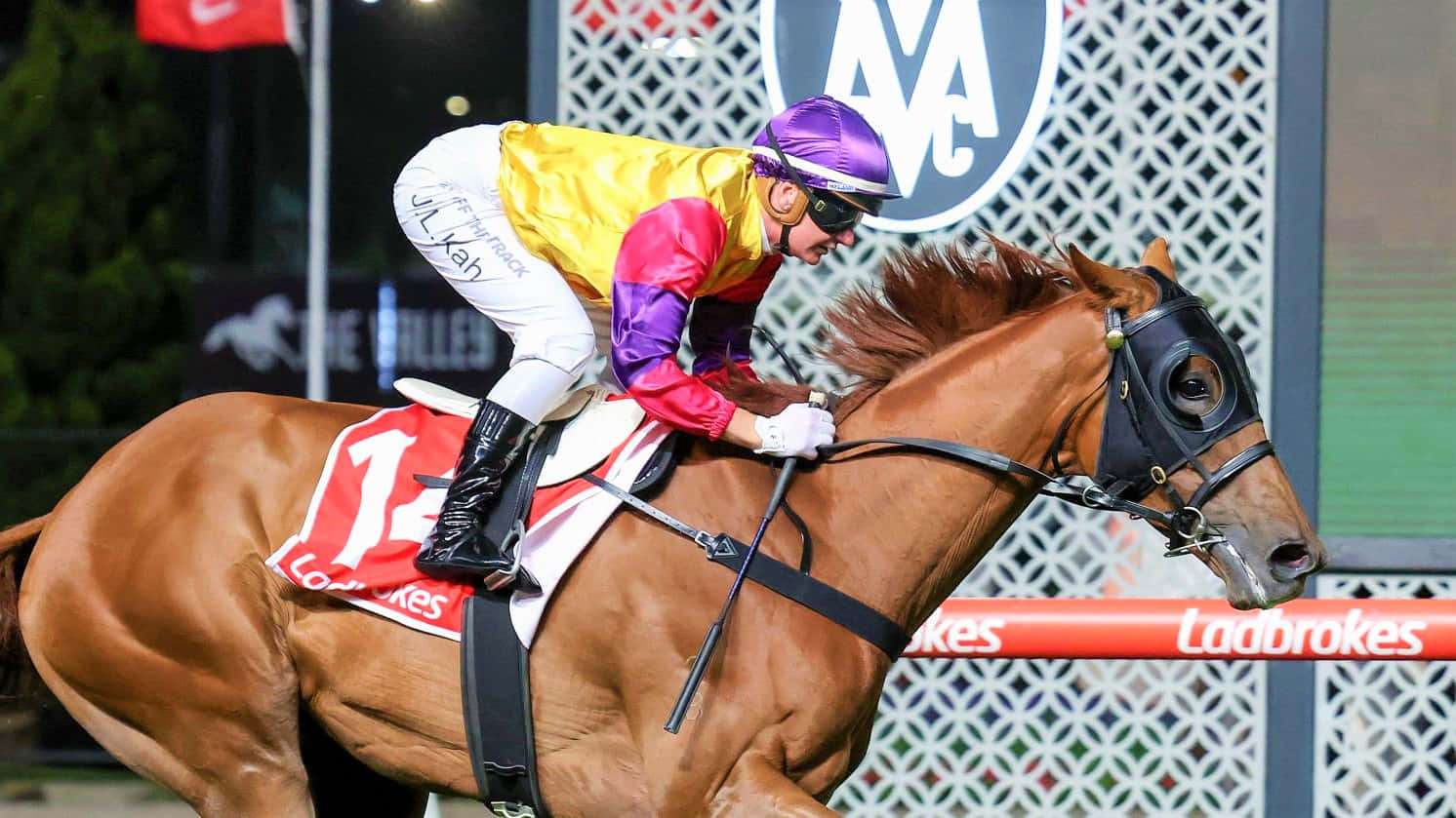 Jamie Kah, champion jockey, vibrant yellow and purple silks, HD Desktop Wallpaper