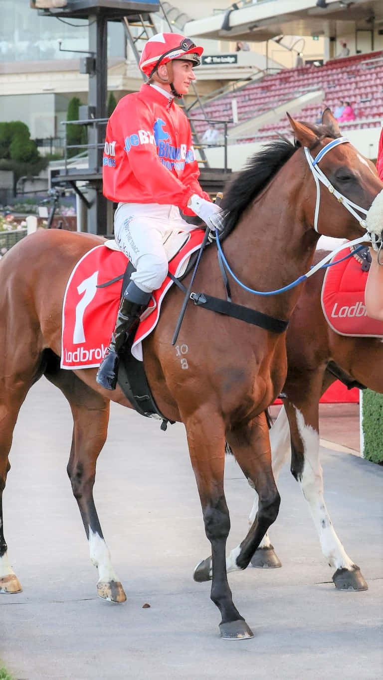 Jamie Kah, red silks, chestnut racehorse, HD Phone Wallpaper