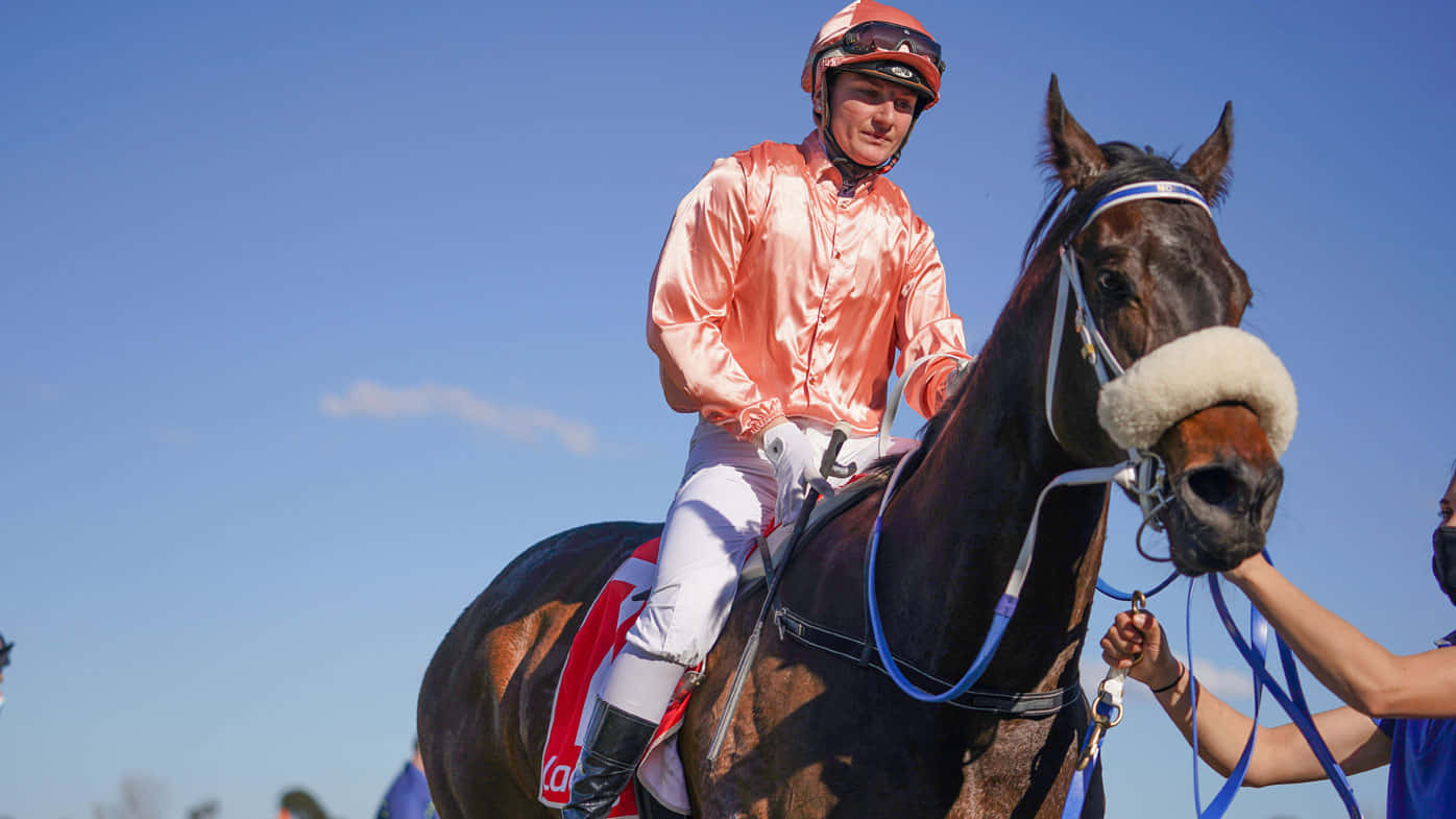 Jamie Kah, shiny orange jacket, dark brown racehorse, HD Desktop Wallpaper