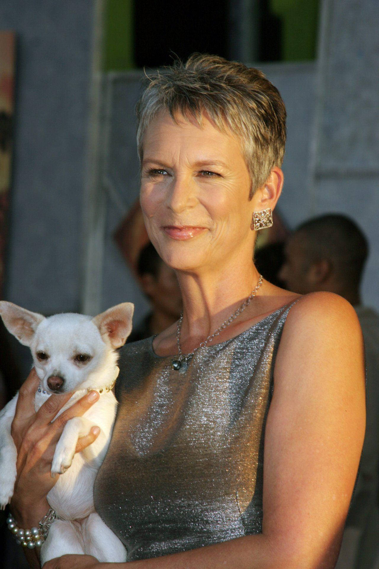Jamie Lee Curtis, chihuahua, shimmering silver dress, Full HD Phone Wallpaper